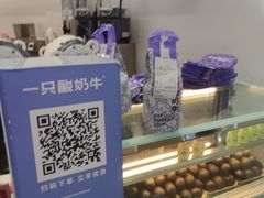 -一只酸奶牛(来福士店)
