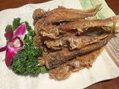 -浦江餐饮•上海菜馆(五四路店)