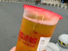 -蜜雪冰城(武进区吾悦店)