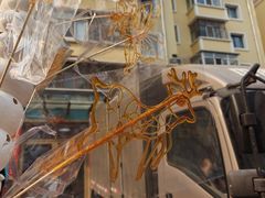 -哈尔滨道外花鸟鱼市场