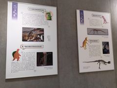 -鄂尔多斯青铜器博物馆