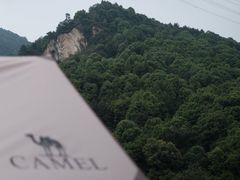 -趣多多宠物公园·宠物训犬学校·宠物寄养