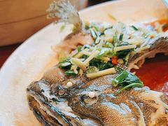 -国家五钻酒家·西樵旺阁渔村(西樵店)