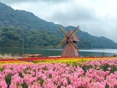 -广州市石门国家森林公园