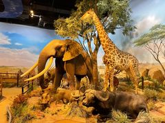 -陕西自然博物馆