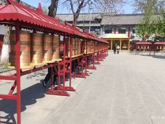 -护国法轮寺