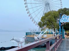 -蠡湖大桥公园