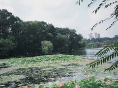 -承德避暑山庄景区