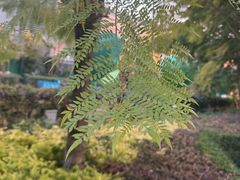 -抚仙湖万达文华酒店