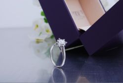 我的钻戒 60分 F色 3EX vs2-威德钻石-克拉钻大本营(南京东路店)