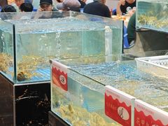 -阳江餐厅·30年老字号·粤菜海鲜大排档