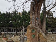 -苏州碑刻博物馆