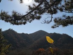 -玉渡山自然风景区