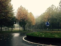 -南京奥林匹克体育中心-体育馆