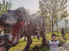 -西部长青自然儿童乐园