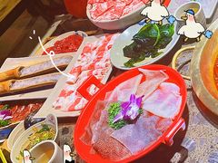 -小龙坎火锅(总店)