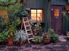 -三鹰之森吉卜力美术馆