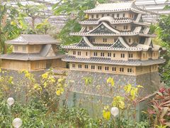 -南宫五洲植物乐园