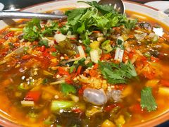 -飞虹鱼馆(春华路店)