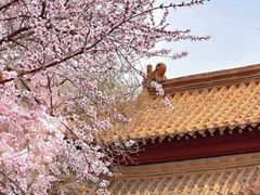 -桃花堤公园