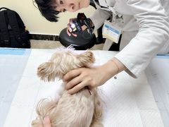 -美联众合动物医院·24h转诊中心