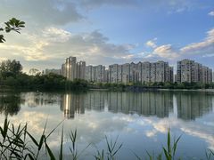 -洋湖国家湿地公园