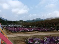 -盈香心动乐园