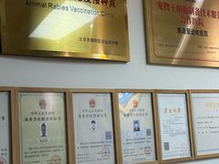 -美迦爱-牙专科·兔科·骨科诊疗中心(北苑店)