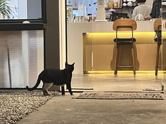 -稀物集咖啡(徽州大道店)