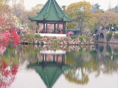 -无锡蠡湖国家湿地公园-蠡园