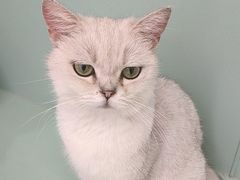 -怪兽屋·羊驼·猫咖·狗咖(俊华广场店)