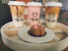 -喵屿·大理花园猫咖