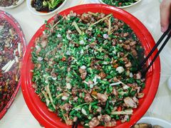 -东吴霸王兔(松青路店)