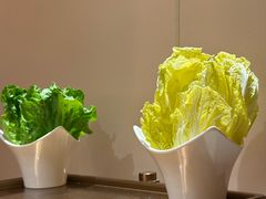 -海底捞火锅(吾悦国际广场店)