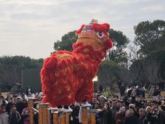 -梁鸿国家湿地公园