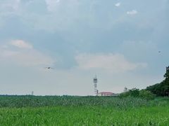 -上海吴淞炮台湾国家湿地公园
