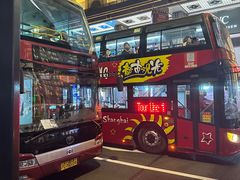 -BUS TOUR观光巴士