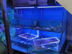 -面道赞宁海海鲜面(迎凤街店)