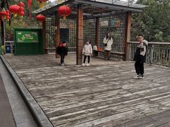-金鸡山公园