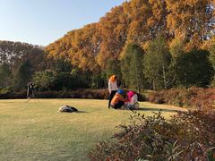-河南省黄河迎宾馆