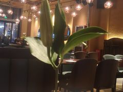 -Ambra Haus琥珀屋精酿餐厅(宝山店)