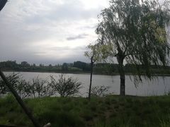 -东郊湿地公园