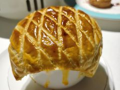 -阿五黄河大鲤鱼(纬三路店)