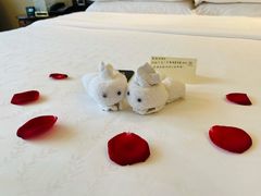 -广州粤海喜来登酒店