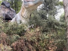-贵州森林野生动物园