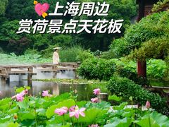 -南园(太仓市)