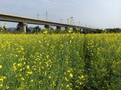 -光明小镇欢乐田园