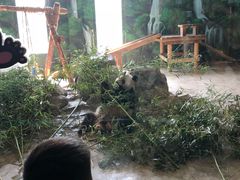 -临沂动植物园