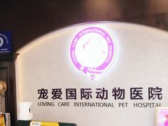 -宠爱国际动物医院·疑难骨科·心肾内科·皮肤科(太阳宫店)
