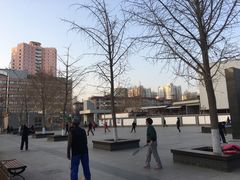 -丰台科技园生态主题公园
